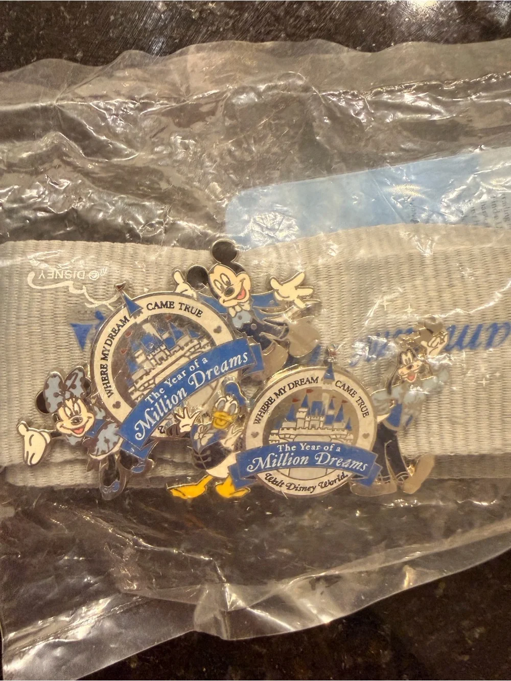 Disney Year of a Million Dreams Lanyard 2-Pin Set